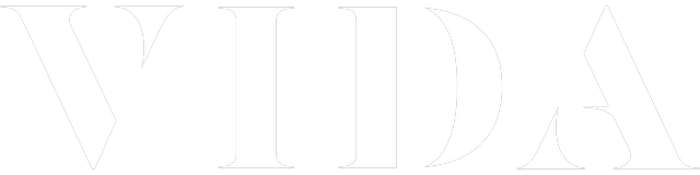 Vida Group logo